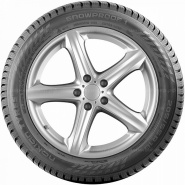 225/55 R17 101V Nokian Tyres Snowproof 1