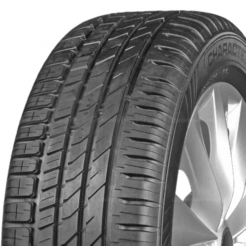 215/55 R16 97H Ikon / Nokian Tyres Character Eco XL - 1