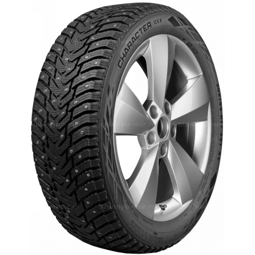 215/55 R16 97T Ikon / Nokian Tyres Character Ice 8 XL - 1